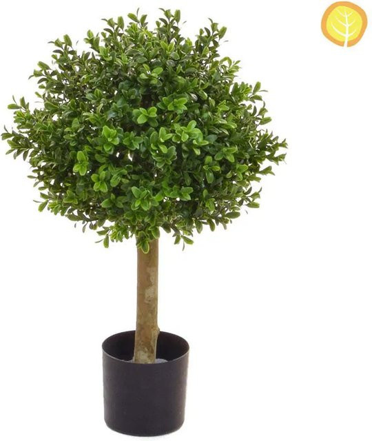 Künstlicher Buchsbaum von Aplanta, Tischdeko-Baum, Höhe: 30 cm - Bild 1