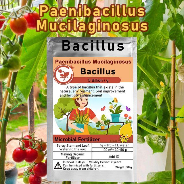 Paenibacillus Mucilaginosus Bio-Mikrobieller Dünger zur Förderung der Bodenfruchtbarkeit und des Pflanzenwachstums, 50 g - Bild 1