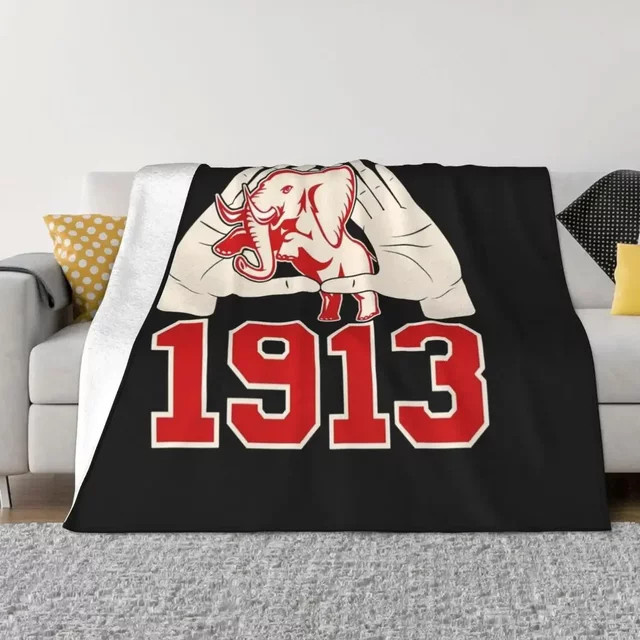 Delta Sigma Theta Überwurfdecke für Sofa oder Bett - Bild 1