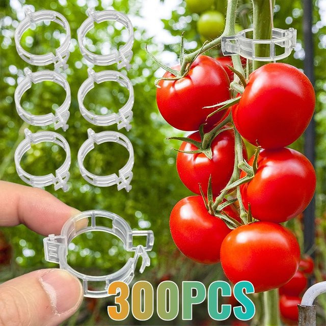Wiederverwendbare Kunststoff-Pflanzenstützklammern in Transparent für Garten und Gewächshaus, 100 Stück - Bild 1