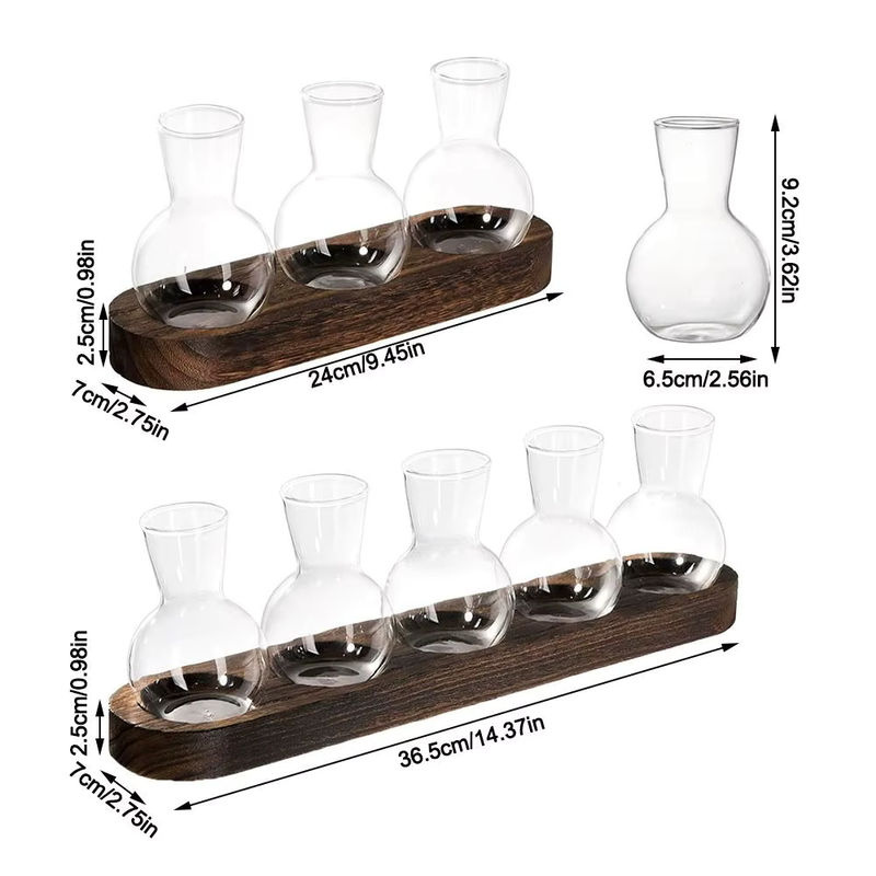 Moderne Pflanzenterrarium-Vermehrungsstation aus Glas und Holz mit flaschenförmigen Vasen in Transparent und Braun - Bild 6