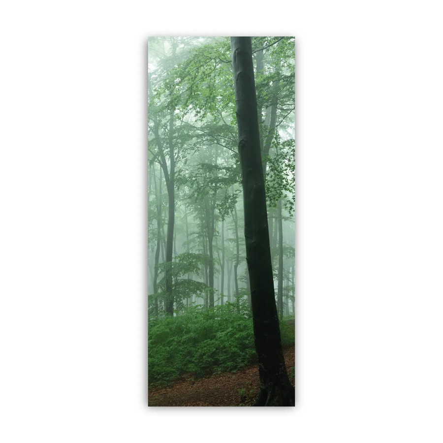 Walllux Duschrückwand Nebel im Wald aus Alu-Verbund, Breite: 100 cm, Höhe: 255 cm - Bild 2