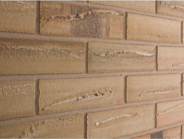 Elabrick Verblender Corsica in Steinoptik, grau/beige, B/H: 24,0 x 7,1 cm - Bild 1
