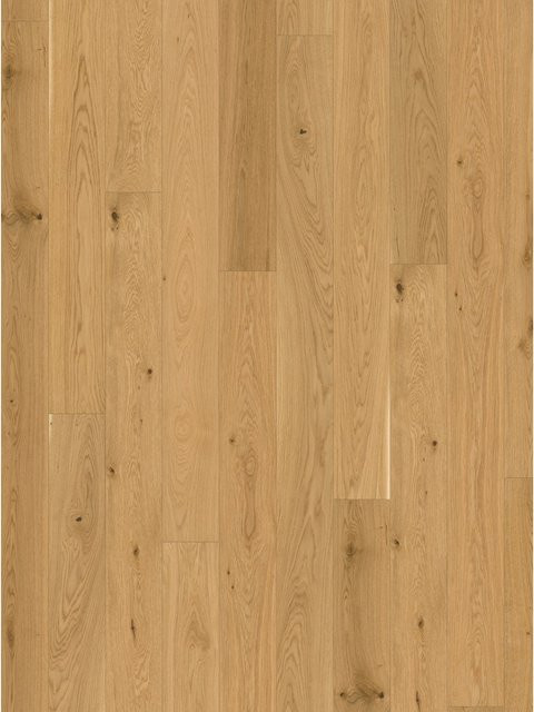 Parador Parkett Trendtime 4 Living Eiche Molvina Natur Matt Lackiert in Braun - Bild 1