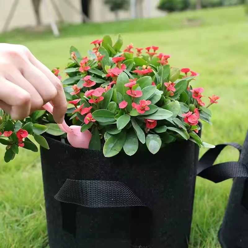 Schwarze Filz-Wachstumsbeutel für Gemüse und Blumen, 5 Gallonen, verdickter Gartenstoff-Pflanztopf für Gewächshaus und Garten - Bild 3