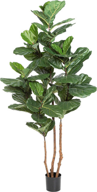 Künstliche Geigenfeige artplants in Grün, Höhe: 220 cm - Bild 1