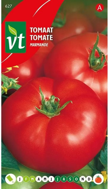 Arborix Tomate Marmande Gemüse-Saatgut, 0,5 g - Bild 1