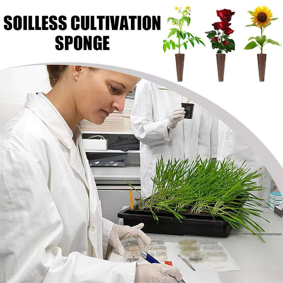 Eed Grow Ersatz-Wurzelwachstumsschwämme für AeroGarden Hydroponik-Anzuchtstecker, Braun, 50 Stück - Bild 4