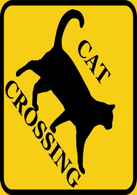 Rogue River Tactical Blechschild Wanddekoration Cat Crossing XING in Weiß und Gelb, Maße: 20 x 20 x 0,1 cm - Bild 1
