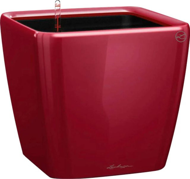 Lechuza Pflanzgefäß Quadro Premium LS in Scarlet Rot, B/T/H: 22 x 22 x 21 cm - Bild 1
