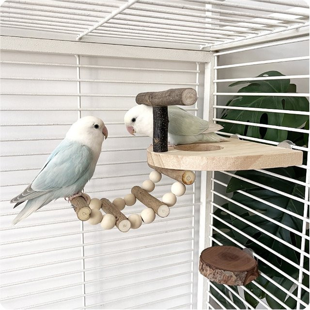 HATELI Papageienspielzeug aus Holz in Braun mit T-förmigem Vogelständer, Schleifstab, Leiter und Plattform zur Nahrungssuche - Bild 1