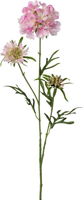Kunstblume Scabiosa Zweig von Gasper in Pink, Höhe: 75,0 cm - Bild 1