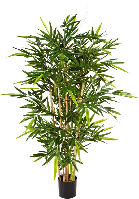 Aplanta Künstlicher Bambus Melina, 270 cm, Grün - Bild 1