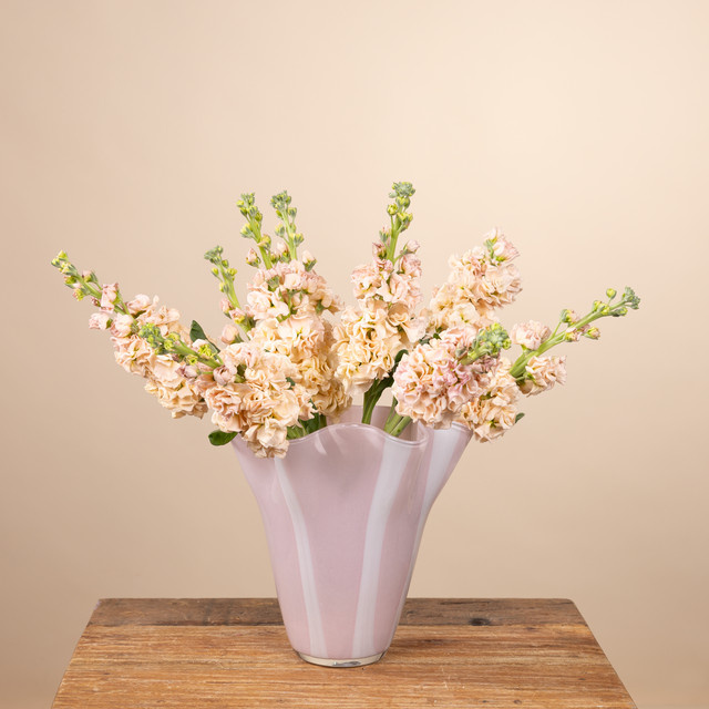 Gestreifte Glasvase von BLUME2000 in Rosa für deine Frühlingsdekoration - Bild 1