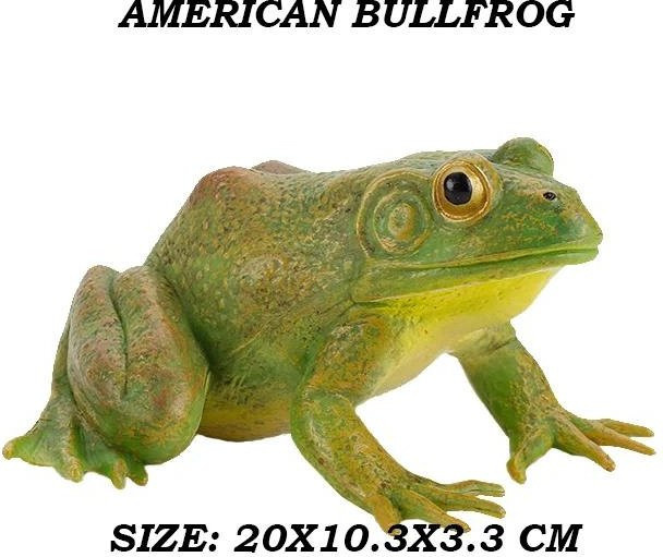 Frosch Kollektion Rana Ochsenfrosch Laubfrosch Gehörnter Frosch Kröte Quetschfrosch Regenwald Tiere Figuren, Actionfigur, ab 14 Jahre - Bild 1