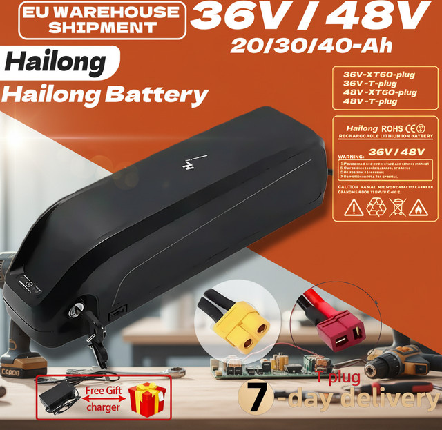 Aibik Hailong Akku mit 30A BMS und 18650 Zellen in Schwarz - Bild 1