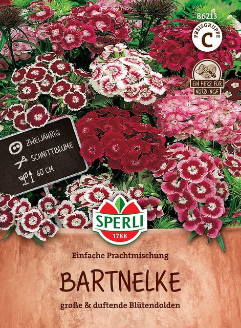 SPERLI Bartnelken-Samen Einfache Prachtmischung, bunt - Bild 1