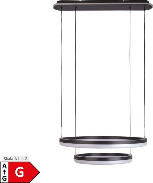 Näve LED CCT Pendelleuchte CIRCULO Ring in Schwarz Durchmesser: 60 cm - Bild 1