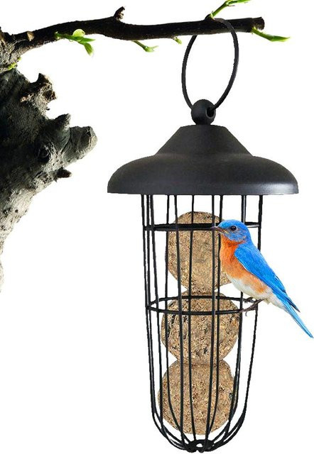DIYelecs Vogel Futterspender aus Metall für Fettbällchen zum Aufhängen, Schwarz - Bild 1