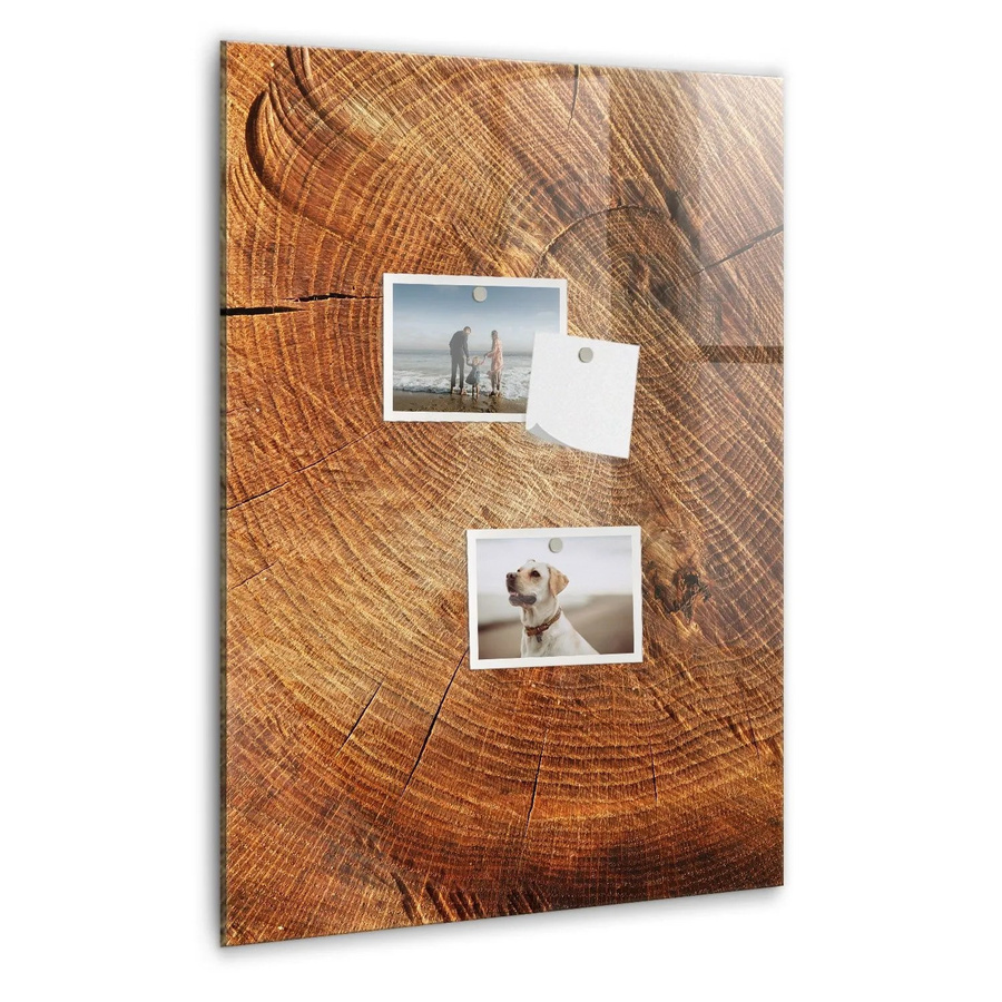 Tulup Glasmagnettafel Querschnitt Des Stammes, Weiß, B: 60 cm, H: 40 cm - Bild 2