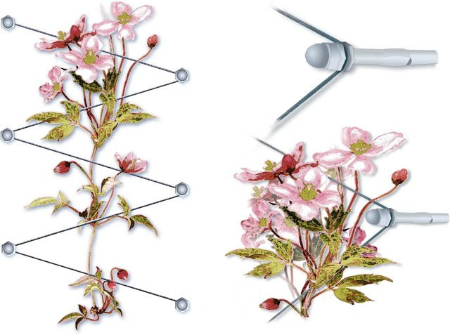 Floracord Rankhilfe aus Edelstahl in Silber, Höhe: 130 cm - Bild 1