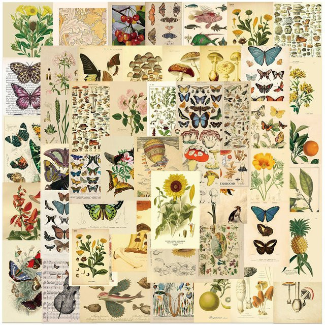Charile Vintage Schmetterling Pflanzen Blumen Aufkleber, Multicolor, 10-teiliges Set - Bild 1