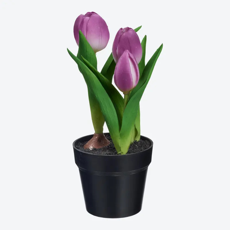NKD Kunsttulpe im Topf in Violett und Schwarz, Höhe: 23 cm, Breite: 9 cm - Bild 2