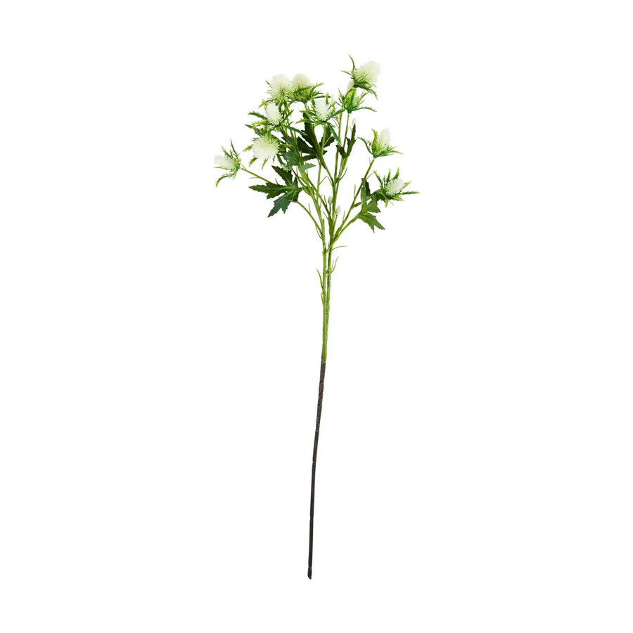 House Doctor Künstlicher Zweig Eryngium in Weiß, Höhe: 26,5 cm - Bild 1