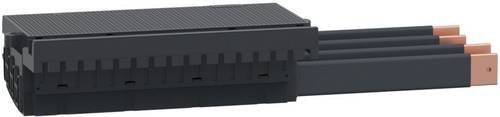 Schneider Electric LVS04413 Einspeiseblock in Grau - Bild 1