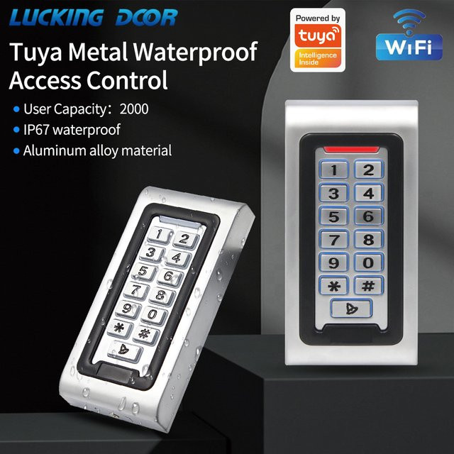 LUCKING DOOR WLAN Smart Türschloss mit Tuya App-Steuerung, IP68 Wasserdichtes Outdoor Zugangskontrollsystem aus Metall mit Tastatur und RFID, Farbe: Silber - Bild 1