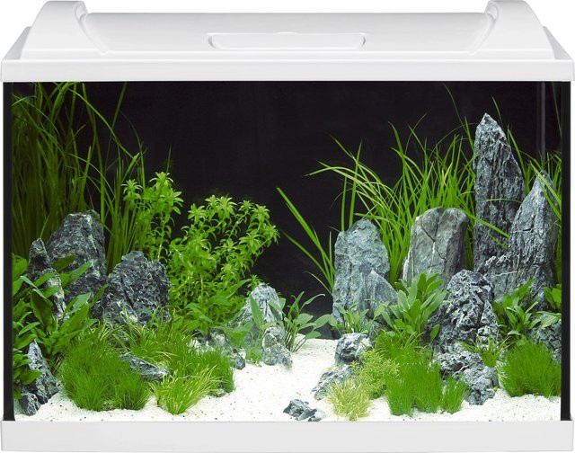 Eheim Aquapro LED 84 Aquarium-Set in Weiß - Bild 1