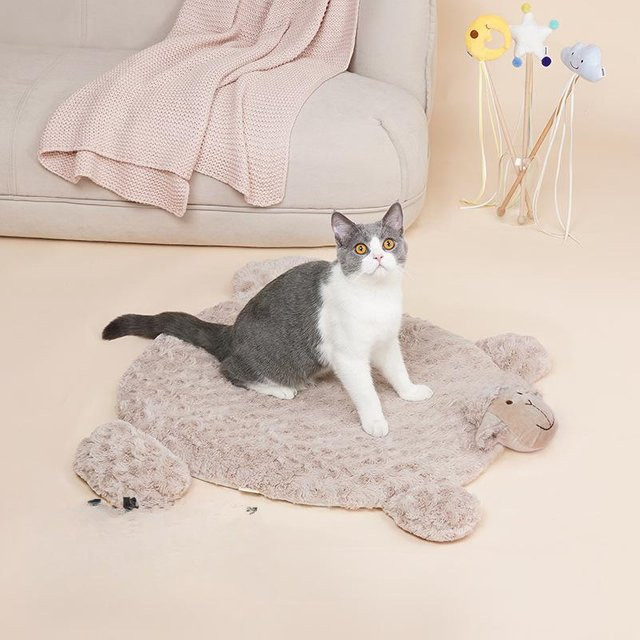 Haustier-Lammmatte für Katzen und Hunde in Beige, B/T/H: 50 x 60 x 6 cm - Bild 1