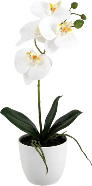 Künstliche Orchidee Han von Aplanta, Tischdeko, Höhe: 36 cm - Bild 1