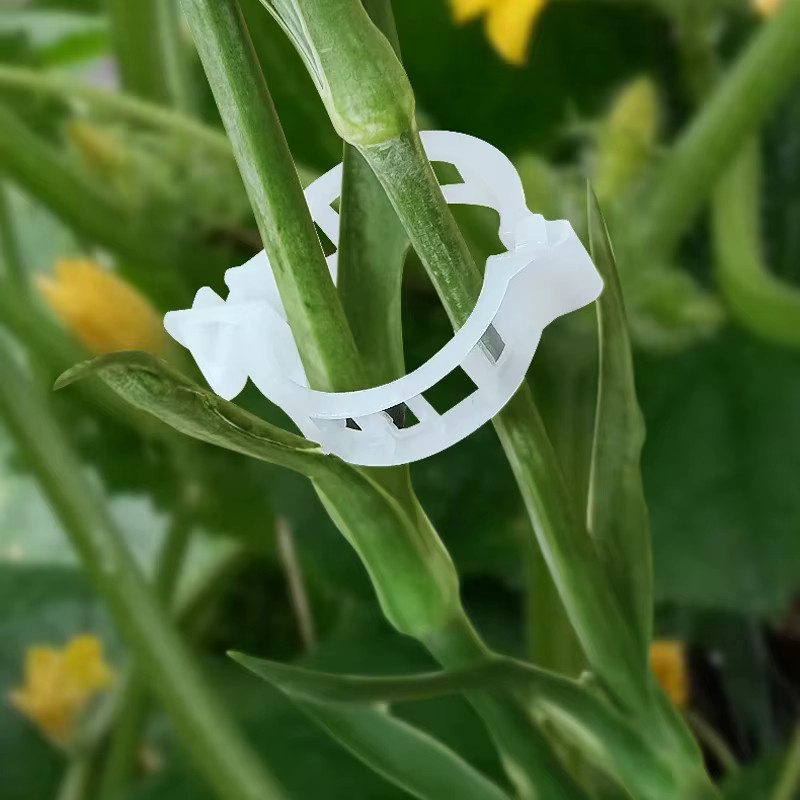 Wiederverwendbare Pflanzenstützklammern aus Kunststoff in Transparent für Gemüse und Tomaten - Bild 4