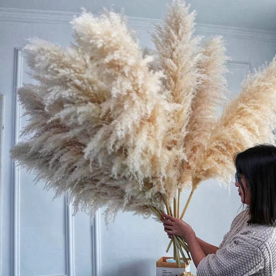 GARCIA Pampasgras Trockenblumenstrauß in Beige und Grau, flauschige Boho-Dekoration für dein Zuhause, Höhe: 120 cm - Bild 2