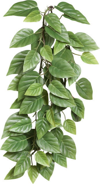 Künstliche Hängepflanze Aplanta Mirabel Pothos, Grün, Höhe: 75 cm - Bild 1