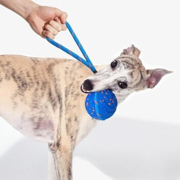 Cheerble Wicked Ball Air Rope, Royal Blue - Bild 1