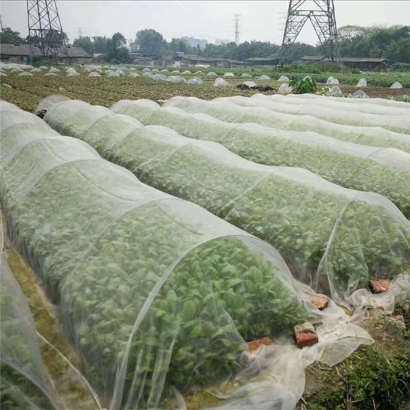 Transparentes Insektenschutznetz zur Gewächshausabdeckung und zum Schutz von Gartenpflanzen, Gemüse, Obst und Blumen - Bild 2