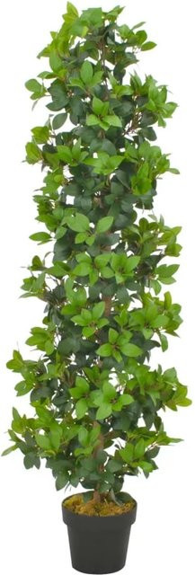 furnicato Künstlicher Lorbeerbaum mit Topf in Grün und Braun, Höhe: 150 cm - Bild 1
