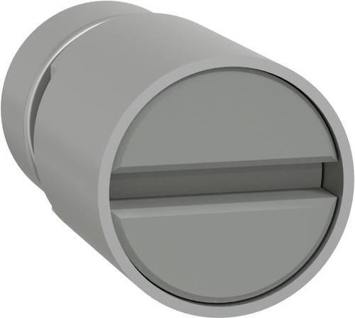 Schneider Electric PrismaSeT-P Zylinderschloss mit Schraubendrehereinsatz in Grau - Bild 1