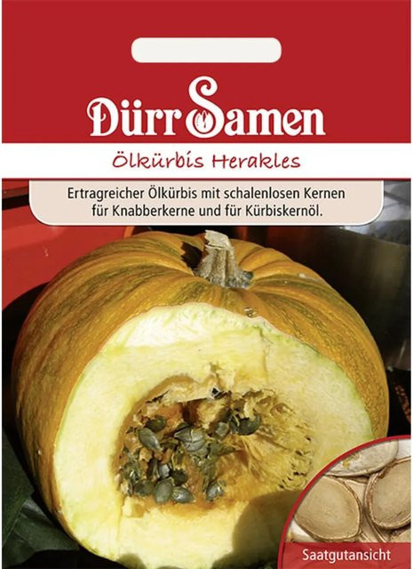 Dürr Ölkürbis Herakles Saatgut 155 g - Bild 1