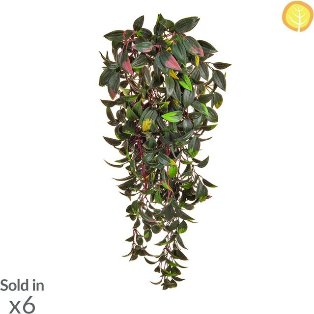 Künstliche Peperomia Rüdiger von Aplanta, Grün, Höhe: 72 cm - Bild 1