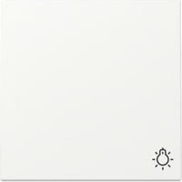 Gira Wippe Symbol Licht in Weiß - Bild 1