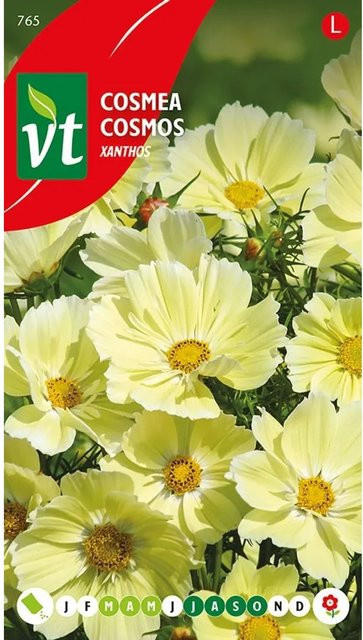 Kosmee Xanthos Samen für gelbe Blüten, 1 g Ziergewächs für Garten und Haus - Bild 1