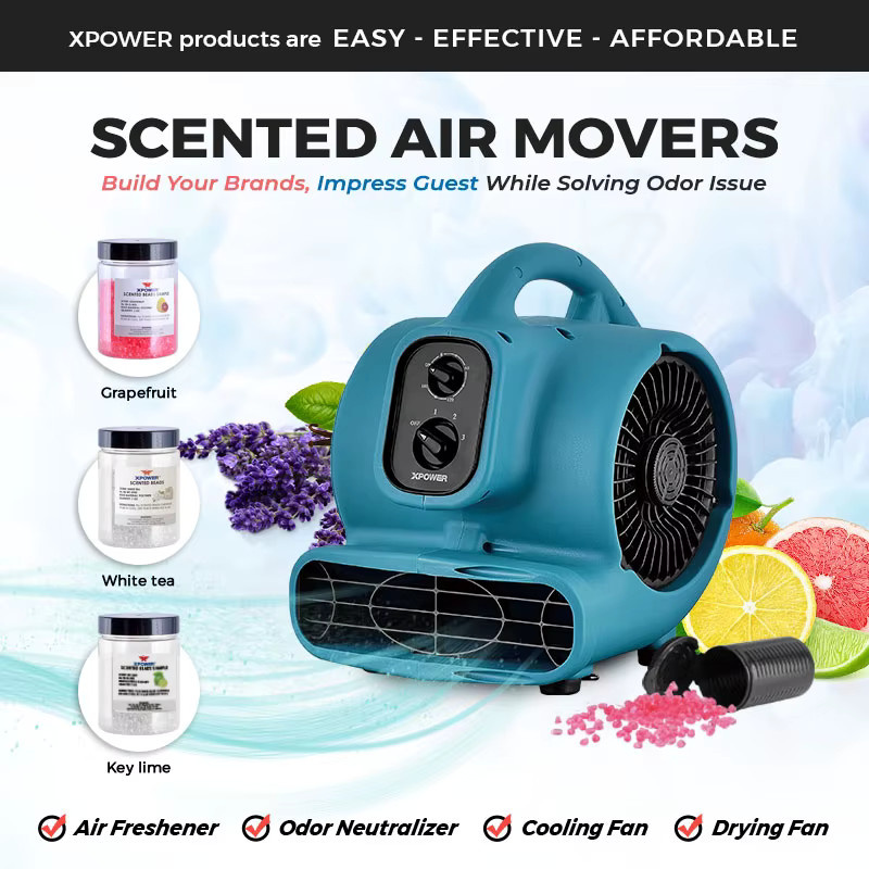 XPower P-250NT Negativ-Ionen Bodenventilator in Blau mit Timer zur Wasserschadensanierung und Teppichtrocknung - Bild 2