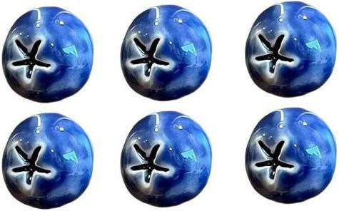 EonX 3D Blaubeere Kühlschrankmagnet Set aus Harz in Blau zur dekorativen Gestaltung von Küche und Büro - Bild 1
