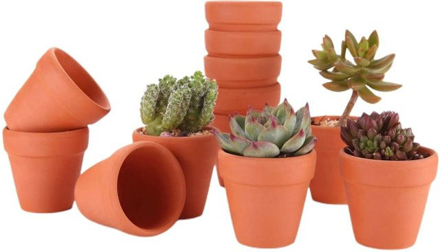 12 Stück Terrakotta Keramik Pflanztöpfe für Kakteen und Sukkulenten mit Drainageloch, Farbe: Braun/Orange, Durchmesser: 5,58 cm - Bild 1