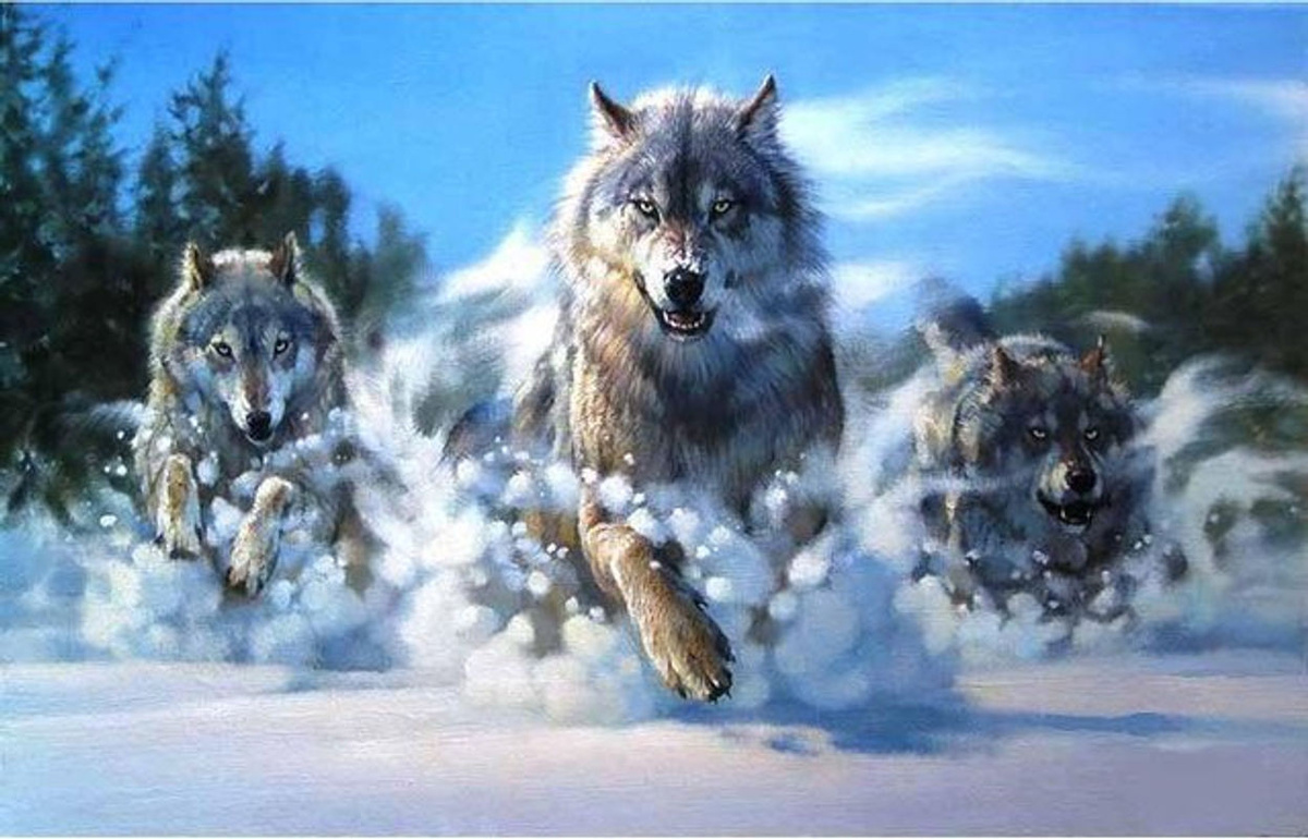 FIYO Diamond Painting Wolf im Schnee 5D Kreuzstich Set, mehrfarbig, B/H: 30 x 20 cm - Bild 1