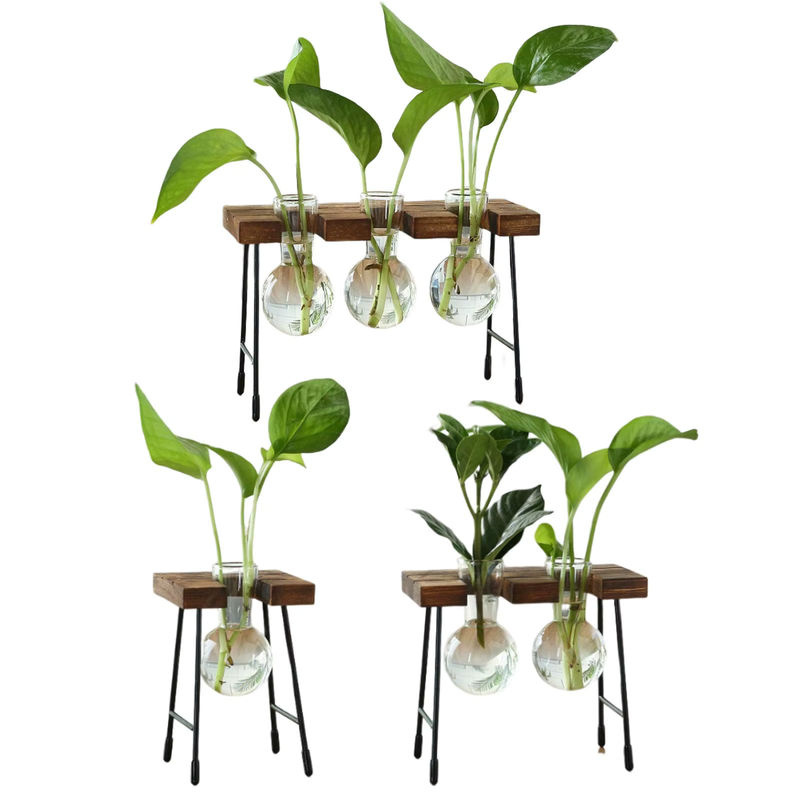 Homyl Hydroponische Glasvase für Tischdekoration, transparente Blumenvase für Wohnzimmer und Esstisch - Bild 3