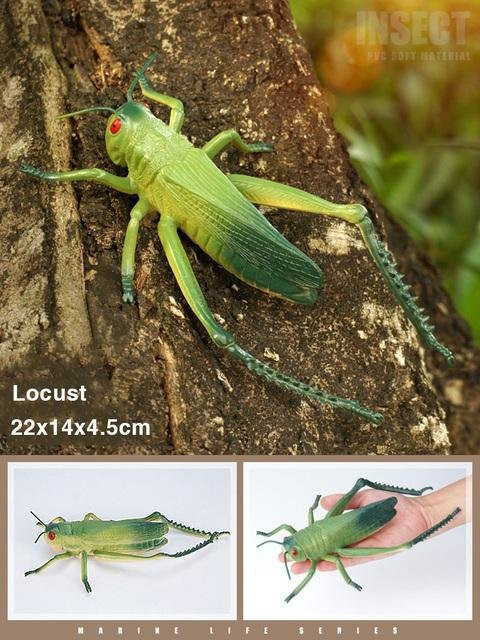 Simulations-Insektenfiguren, Tiere, Kunststoff, Bunt / Mehrfarbig, Grün - Bild 1